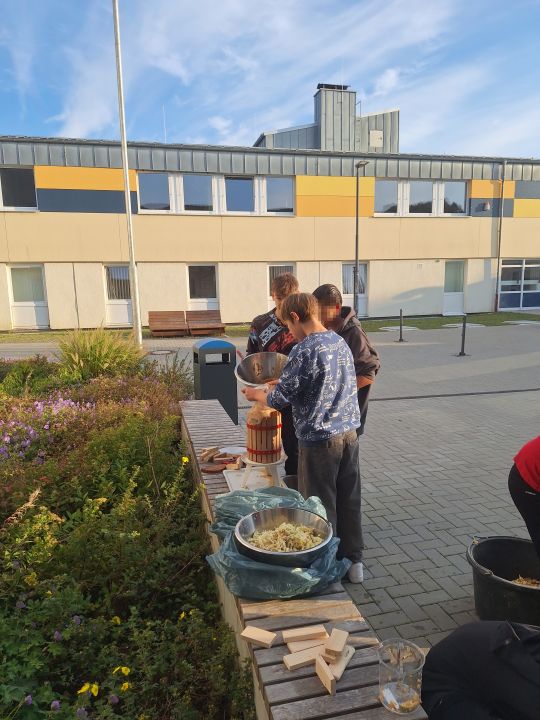 Apfelsaft selbst herstellen