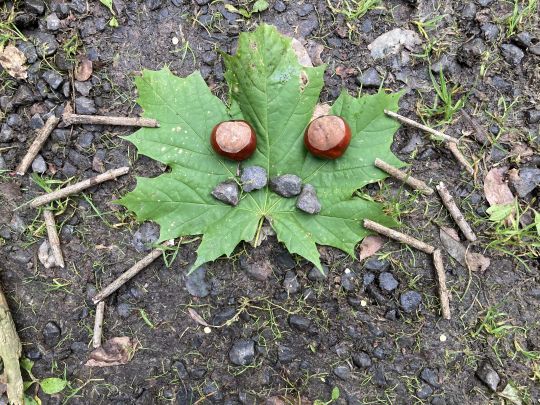 Land-Art im Kunstunterricht