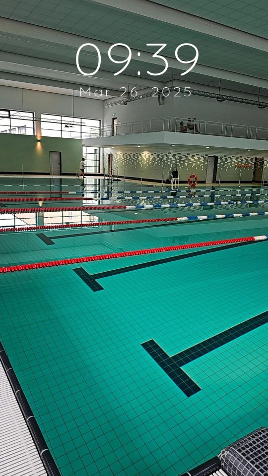 Schulwettkampf Schwimmen